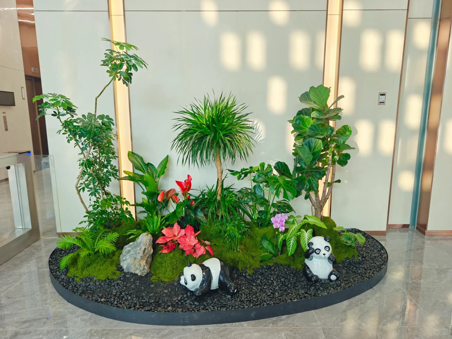 专业北仑花卉出租,让空间瞬间绽放别样生机